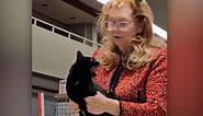 Angry kitty brings ‘smackdown’ on cat show judge