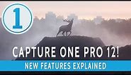 All The New Features In Capture One Pro 12!