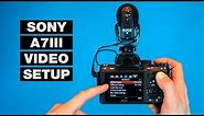 How to Setup Your Camera for Video — Sony A7III Tutorial