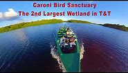 Caroni Bird Sanctuary The 2nd Largest Wetland in Trinidad and Tobago | Scarlet Ibis | Nature