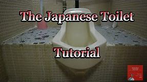 How To Use A Japanese Style Toilet - SFW