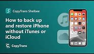 How to backup iPhone to computer without iTunes or iCloud (and then restore it)
