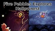 5 Pebbles Explores a Hollow Knight Rando