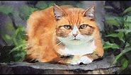 Watercolor painting of a ginger cat