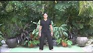 Wuji (18 rules of Posture) - Qigong Exercise