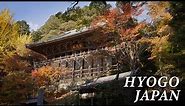HYOGO JAPAN in 8K [Summer Autumn] - 兵庫