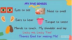 My Five Senses Poem