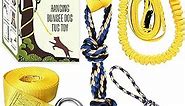 HOKINETY Dog Hanging Bungee Tug Toy: Interactive Tether Tug-of-War for Pitbull Small to Large Dogs to Exercise and Fun Solo Play - Durable Retractable Tugger Dog Rope Toy with 2 Chew Rope Toys