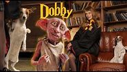 Добби - Костюм Для Собаки | Сделала Костюм Добби Из Гарри Поттера | Halloween 2023 | Cosplay Dobby