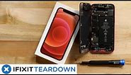 iPhone 12 mini Teardown: iPhone 12… But mini