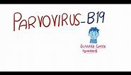 Parvovirus B19 | Fifth Disease | pathogenesis, clinical features, diagnosis and management