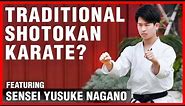 Traditional Shotokan Karate | ART OF ONE DOJO