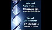 Difference Between Horizontal and Vertical Gene Transfer