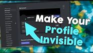 How To Make Your Discord Profile Invisible
