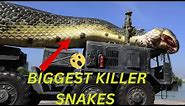 Top 10 Biggest Snakes In The World | Biggest Snakes | killer snakes | snakes bites