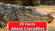 25 FACTS ABOUT CROCODILES | GLOBAL FACTS VIDEO