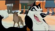 Balto wins the race