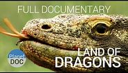 Full Documentary. Komodo Dragon | Land of Dragons - Planet Doc Full Documentaries