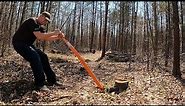 10 Best Ways to Remove Tree Stumps