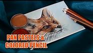 Fox in PanPastel & Colored Pencil - Tutorial for Beginners