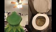 Kermit reacting to tik tok video 😅 man cleaning a dirty toilet 😅