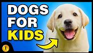 TOP 10 BEST DOG BREEDS FOR KIDS