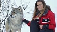 Walking with Wolves in Norway
