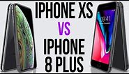 iPhone XS vs iPhone 8 Plus (Comparativo)