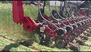 ZRX Roller Crimper in Cereal Rye with 24 row AGCO planter
