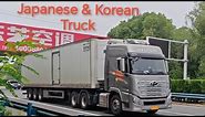 【Japanese & Korean Truck in China】【HYUNDAI & HINO & ISUZU】,half 2023