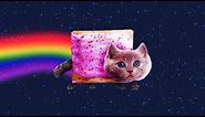 Nyan Cat IN REAL LIFE