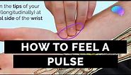 How to Feel a Pulse | Radial & Brachial Pulses - OSCE Guide | UKMLA | CPSA