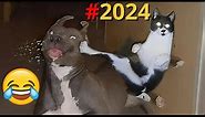 TENTE NÃO RIR - Melhores Memes e Vídeos Engraçados 2024 #7