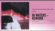 Palazzi D'Oriente - In Waters (Babe Roots feat Milly James rework)