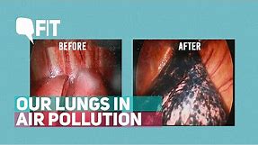How Have Our Lungs Changed With Air Pollution? | QuintFIT