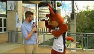An Interview with the San Antonio Coyote