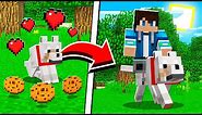 How to UPGRADE WOLVES in Minecraft Tutorial! (Pocket Edition, PS4, Xbox, PC, Switch)