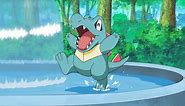 All Water-type Starter Pokemon families, ranked