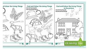 Find and Colour the Living and Non-Living Things Worksheet