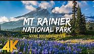 Uniqueness of Mt. Rainier National Park - 4K Documentary Film (with Narration)