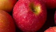 Download Closeup of apple fruit, ripe apples fruit background for free