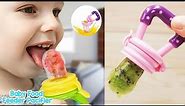 Baby Fruit Feeder Pacifier Review 2020