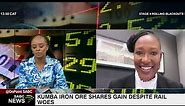 Kumba Iron Ore shares gain despite rail problems
