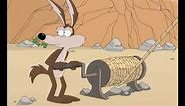 Wille Coyote finally kills Roadrunner