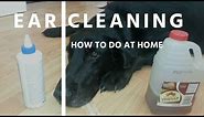 Ear Cleaning For Dogs and Cats