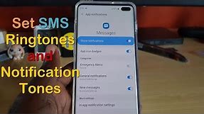 How to Configure SMS Tones and Set up Text Message Notification settings Galaxy S10