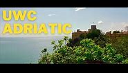 Life at UWC Adriatic! (First year of united world colleges)