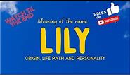 Meaning of the name Lily. Origin, life path & personality.