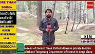 Dozens of Forest Trees Cutted down in private land in Buderkoot Tangmarg. Department of forest in deep sleep.