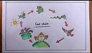 how to draw food chain easy/food chain drawing